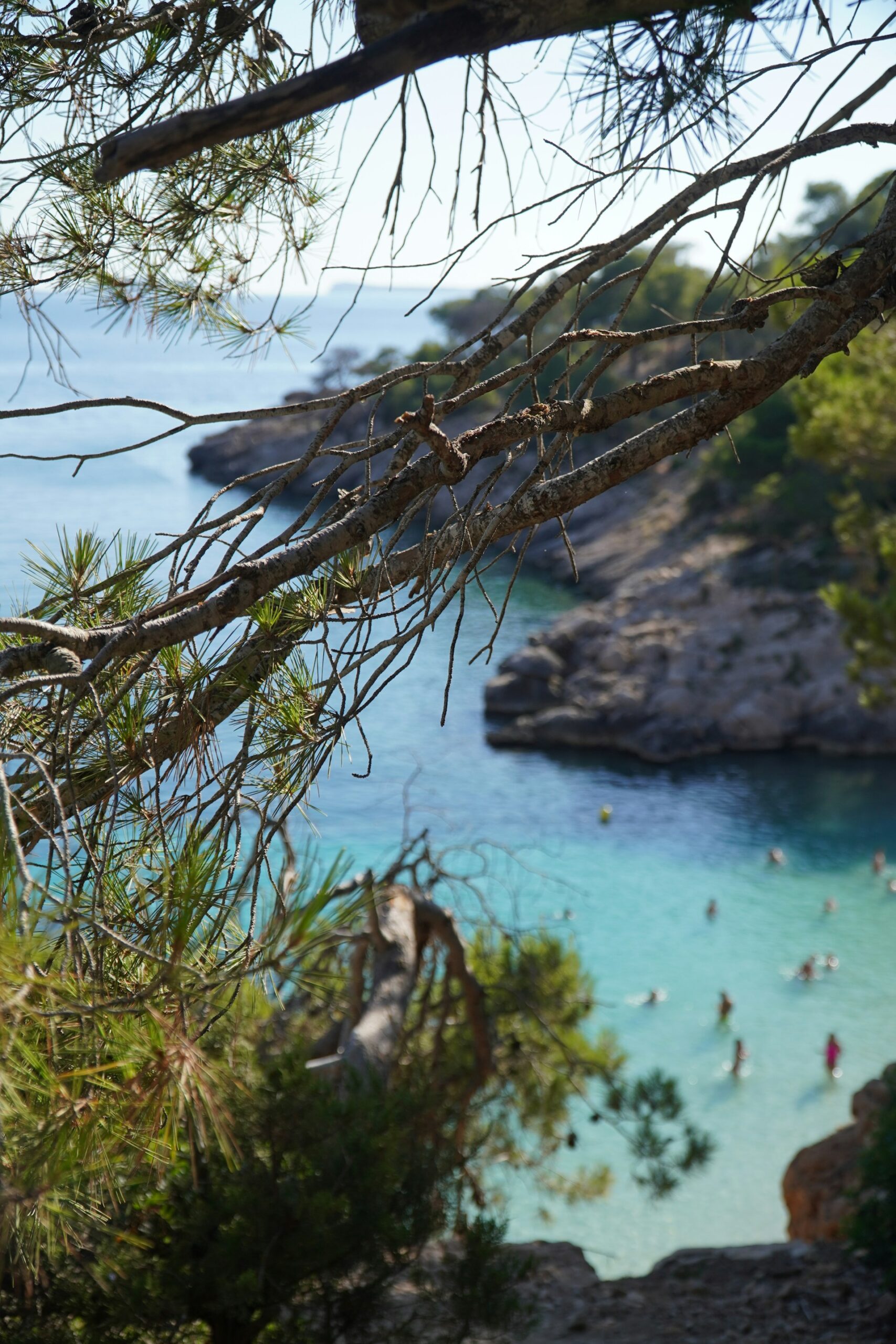 Imagen de la isla de Ibiza